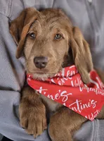 processed/563935d1-e0f1-470c-9d6d-f375111dd965/listing/df3805ec-24ea-4c41-bec2-c5e15d9a85f8/dd08d052-d054-4df9-8cbc-27afab1e3c04