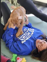 processed/563935d1-e0f1-470c-9d6d-f375111dd965/listing/f592df2e-c361-412a-b1fb-d0f21777dd69/0a43e8ff-00be-4137-81b8-9e6885eb7526