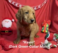 processed/563935d1-e0f1-470c-9d6d-f375111dd965/listing/f592df2e-c361-412a-b1fb-d0f21777dd69/b831228d-4d22-4785-9f4d-463f4b8b8770