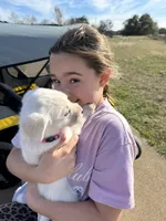 processed/5639e07b-3a56-4724-9f99-9dbd9fad8f8a/listing/0a3433a1-961c-46a6-af50-080030aaa7d4/87b46851-3ae1-4332-b922-2ec2781510d6