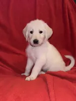 processed/5639e07b-3a56-4724-9f99-9dbd9fad8f8a/listing/cc7890e0-7819-4c68-9c19-77fd97e5b468/10c268c5-32ea-40bd-810d-81cc5556d00a