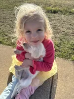 processed/5639e07b-3a56-4724-9f99-9dbd9fad8f8a/listing/fd5cc6d3-2a78-477d-a803-6a06f58c2d3c/c3aa643e-dcb7-4685-8ce0-c7b073524667