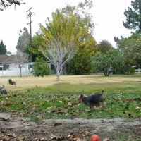 processed/563b2a11-bd50-4a22-bce4-609f65077e01/facility/11bc0e64-1315-47e9-9cb9-ecc6870d4415