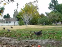 processed/563b2a11-bd50-4a22-bce4-609f65077e01/facility/11bc0e64-1315-47e9-9cb9-ecc6870d4415