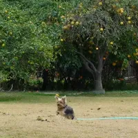 processed/563b2a11-bd50-4a22-bce4-609f65077e01/facility/3eba8eba-ee41-45e6-ad14-2ffa0acc1cc9