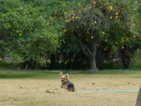 processed/563b2a11-bd50-4a22-bce4-609f65077e01/facility/3eba8eba-ee41-45e6-ad14-2ffa0acc1cc9