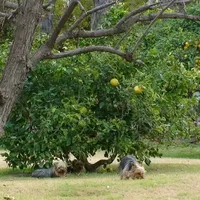 processed/563b2a11-bd50-4a22-bce4-609f65077e01/facility/51f2118a-e6b1-4115-85da-256eba6947f2