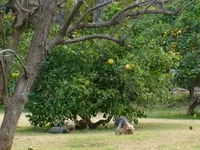 processed/563b2a11-bd50-4a22-bce4-609f65077e01/facility/51f2118a-e6b1-4115-85da-256eba6947f2