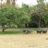 processed/563b2a11-bd50-4a22-bce4-609f65077e01/facility/83f80c97-b57f-4a03-9e43-1cdb3c0ce8b9