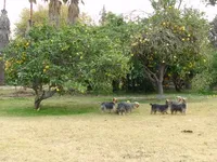 processed/563b2a11-bd50-4a22-bce4-609f65077e01/facility/83f80c97-b57f-4a03-9e43-1cdb3c0ce8b9