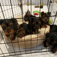 processed/563b2a11-bd50-4a22-bce4-609f65077e01/facility/cf13b5ea-d10b-492a-8156-57c25b35e47f