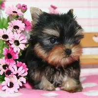 processed/563b2a11-bd50-4a22-bce4-609f65077e01/facility/cf9747cf-316b-4ca8-86fe-2ff24be37aad