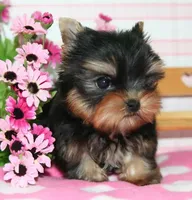 processed/563b2a11-bd50-4a22-bce4-609f65077e01/facility/cf9747cf-316b-4ca8-86fe-2ff24be37aad