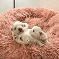 processed/563b2a11-bd50-4a22-bce4-609f65077e01/facility/e3d3a604-58c2-485c-803f-8bc71c123f0a