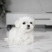 processed/563b2a11-bd50-4a22-bce4-609f65077e01/listing/5e509591-eea5-40d4-9073-a44b18f1414e/0a5ca91d-58d7-4b23-acc9-289eb4edcef1