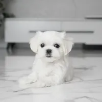 processed/563b2a11-bd50-4a22-bce4-609f65077e01/listing/5e509591-eea5-40d4-9073-a44b18f1414e/e5de71bd-457c-4c97-ae82-f1d08a753a61