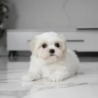 processed/563b2a11-bd50-4a22-bce4-609f65077e01/listing/65666838-2c64-4123-becb-184955470ae5/2327a411-b8b2-462d-b946-970d6e2c7551