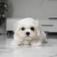 processed/563b2a11-bd50-4a22-bce4-609f65077e01/listing/65666838-2c64-4123-becb-184955470ae5/47e2bec1-d668-4e44-84b7-b190ee642727