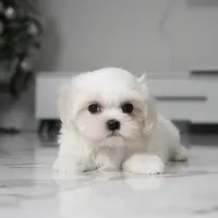 processed/563b2a11-bd50-4a22-bce4-609f65077e01/listing/65666838-2c64-4123-becb-184955470ae5/5256591c-4e79-4097-960a-5919a8095631