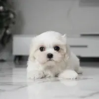 processed/563b2a11-bd50-4a22-bce4-609f65077e01/listing/65666838-2c64-4123-becb-184955470ae5/f841bce9-df24-481c-9b67-71e7e26d7d97