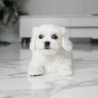 processed/563b2a11-bd50-4a22-bce4-609f65077e01/listing/cd8884c5-e83c-400d-bb61-486374d9e5b2/1c7843f8-da5a-4e32-ad3f-93a57f1214f8