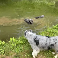 processed/563c319a-d24a-4410-8213-e43b2ebb0859/facility/94926678-ff60-40af-a44f-6112023ffc81