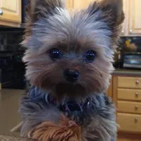 processed/563c319a-d24a-4410-8213-e43b2ebb0859/facility/979e8494-1391-44c0-ac1b-ed1998cbb7a8