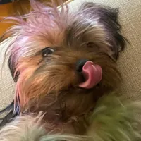 processed/563c319a-d24a-4410-8213-e43b2ebb0859/facility/aa531118-c4f0-48d5-b0be-c68042448919