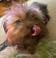 processed/563c319a-d24a-4410-8213-e43b2ebb0859/facility/aa531118-c4f0-48d5-b0be-c68042448919