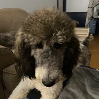 processed/563c319a-d24a-4410-8213-e43b2ebb0859/facility/e36c6c4e-faa0-44f7-b6d9-2e5706788a70