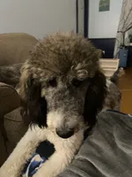 processed/563c319a-d24a-4410-8213-e43b2ebb0859/facility/e36c6c4e-faa0-44f7-b6d9-2e5706788a70