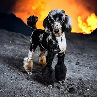 processed/563c319a-d24a-4410-8213-e43b2ebb0859/facility/ea37a294-c18c-4aa5-b9b6-431e53e1bb7d