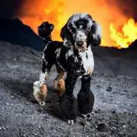 processed/563c319a-d24a-4410-8213-e43b2ebb0859/facility/ea37a294-c18c-4aa5-b9b6-431e53e1bb7d