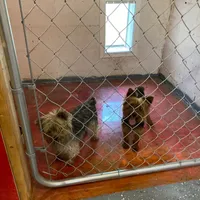 processed/563c319a-d24a-4410-8213-e43b2ebb0859/facility/ec4e4881-bdc7-403b-9a0f-865b7ac1c06d