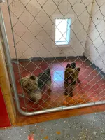 processed/563c319a-d24a-4410-8213-e43b2ebb0859/facility/ec4e4881-bdc7-403b-9a0f-865b7ac1c06d