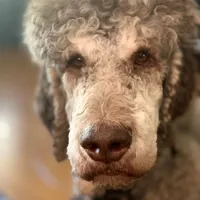 processed/563c319a-d24a-4410-8213-e43b2ebb0859/facility/f75d1a15-5d97-40f3-980b-1bfc4458daeb