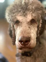 processed/563c319a-d24a-4410-8213-e43b2ebb0859/facility/f75d1a15-5d97-40f3-980b-1bfc4458daeb