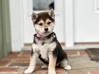 processed/5641ca2d-5c0c-413d-9f5c-3a3cb8e31071/listing/13d1ef92-ffd5-45f0-8ccd-99342746aa9f/64075ade-c05e-4c70-affb-ffe226d4b262