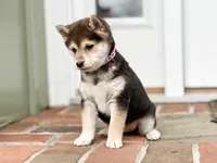 processed/5641ca2d-5c0c-413d-9f5c-3a3cb8e31071/listing/13d1ef92-ffd5-45f0-8ccd-99342746aa9f/82ed9fcd-6748-4a8a-b644-338fa2fc8804