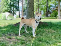 processed/5641ca2d-5c0c-413d-9f5c-3a3cb8e31071/listing/13d1ef92-ffd5-45f0-8ccd-99342746aa9f/dbcfd3ef-312a-438a-b6c0-0baff2bb30c2