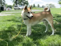 processed/5641ca2d-5c0c-413d-9f5c-3a3cb8e31071/listing/965c5e79-2f85-42ff-a70a-304ca60b6b9e/322bc68d-b331-4a9a-a1ad-a39535d86b3c