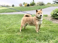 processed/5641ca2d-5c0c-413d-9f5c-3a3cb8e31071/listing/ede96ca8-4a06-4589-917a-fe0e44168f58/167f17ea-089f-4781-8034-3bb5def888f1