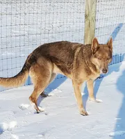 processed/5644dad2-534e-4699-831c-107546373f69/listing/65da8386-f8c0-47bf-b7c5-6360108bf57a/132272d4-9eed-4b1d-ad49-5c7ec764858c