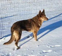 processed/5644dad2-534e-4699-831c-107546373f69/listing/65da8386-f8c0-47bf-b7c5-6360108bf57a/9f6f9e1b-25ab-4eab-9d6e-aaa5b47e0999