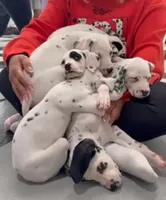 processed/564aa1f1-c65a-47ec-9992-6690ca716cea/listing/745396a6-011c-4a45-8e59-f7d59b6fd504/772da73e-2225-47de-9bf1-44f54bd53906