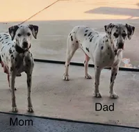 processed/564aa1f1-c65a-47ec-9992-6690ca716cea/listing/745396a6-011c-4a45-8e59-f7d59b6fd504/910125e8-d74f-430c-bb23-713f8df2c911