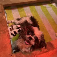 processed/564af6e2-df25-49b3-b880-a54d02c6a66b/facility/015a5b1a-7aa1-48e9-a49b-e997a7402b96