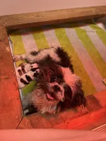 processed/564af6e2-df25-49b3-b880-a54d02c6a66b/facility/015a5b1a-7aa1-48e9-a49b-e997a7402b96