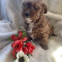 processed/564af6e2-df25-49b3-b880-a54d02c6a66b/facility/041b7342-db7b-45b4-9d5e-213283ef4e52