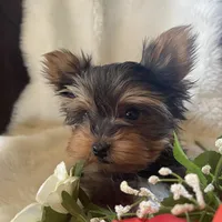 processed/564af6e2-df25-49b3-b880-a54d02c6a66b/facility/1e9c3a47-fdec-441b-aebe-a7f5988248a3